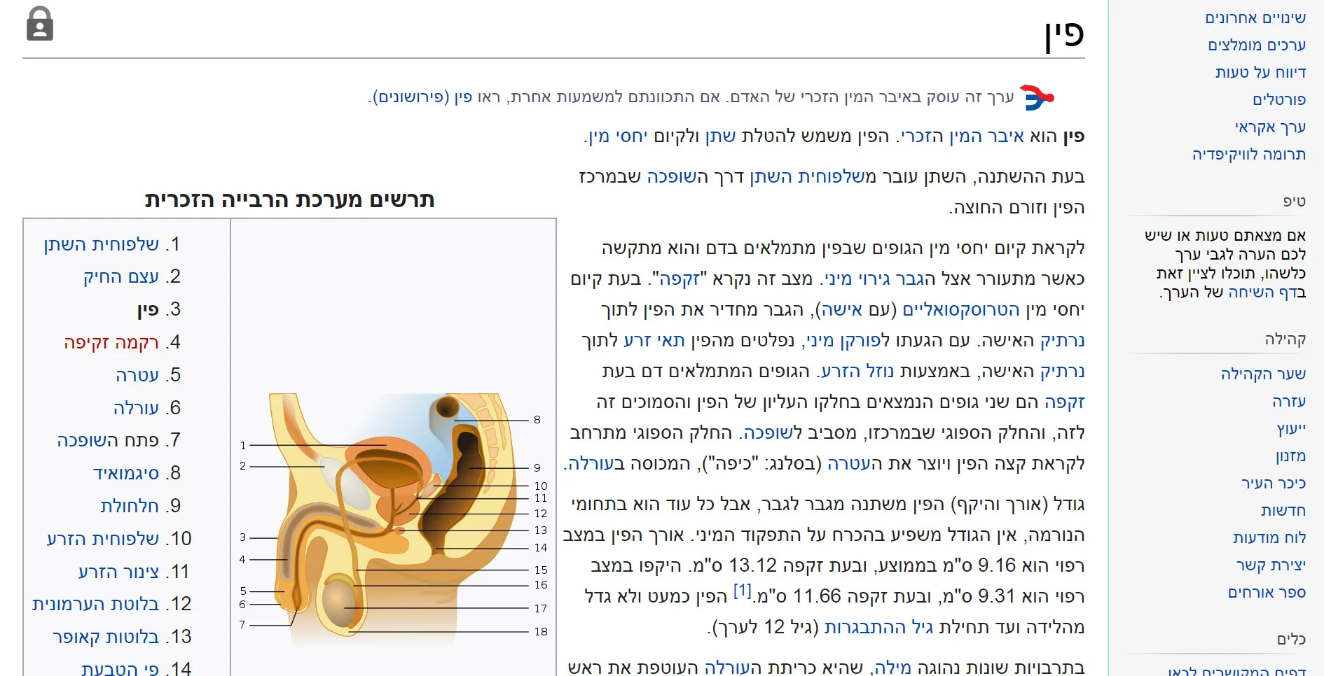 זהירות - פין! מתוך ויקיפדיה